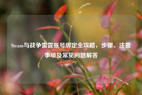 Steam与战争雷霆账号绑定全攻略，步骤、注意事项及常见问题解答