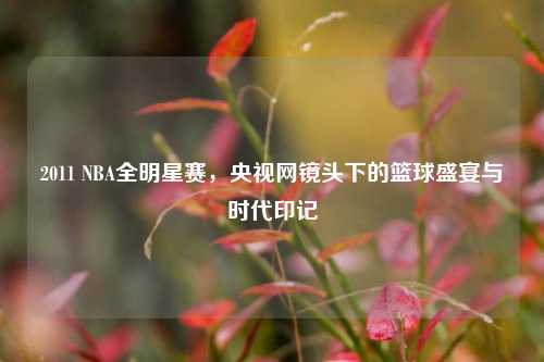 2011 NBA全明星赛，央视网镜头下的篮球盛宴与时代印记