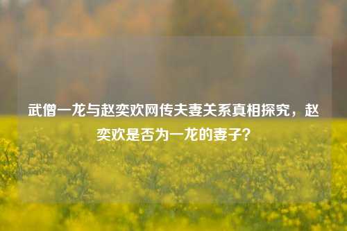 武僧一龙与赵奕欢网传夫妻关系真相探究，赵奕欢是否为一龙的妻子？