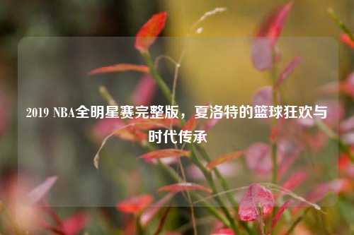 2019 NBA全明星赛完整版，夏洛特的篮球狂欢与时代传承