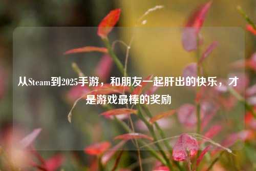 从Steam到2025手游，和朋友一起肝出的快乐，才是游戏最棒的奖励