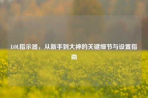 LOL指示器，从新手到大神的关键细节与设置指南