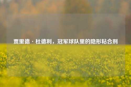 贾里德·杜德利，冠军球队里的隐形粘合剂
