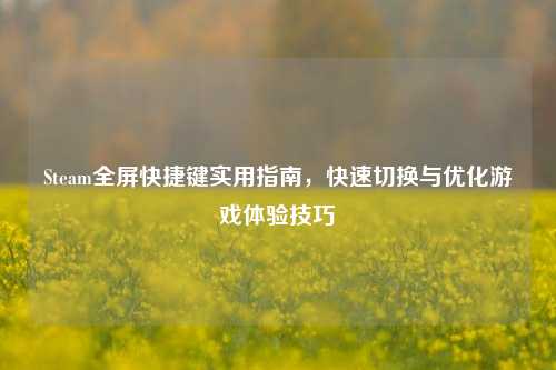 Steam全屏快捷键实用指南，快速切换与优化游戏体验技巧