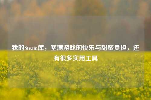 我的Steam库，塞满游戏的快乐与甜蜜负担，还有很多实用工具