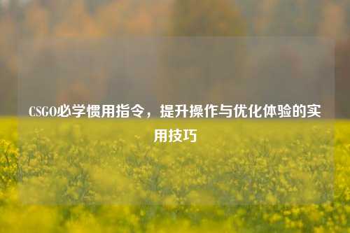 CSGO必学惯用指令,提升操作与优化体验的实用技巧