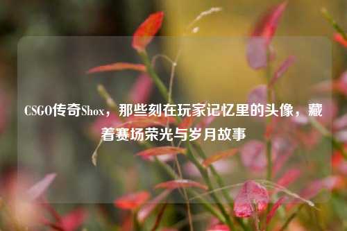 CSGO传奇Shox，那些刻在玩家记忆里的头像，藏着赛场荣光与岁月故事