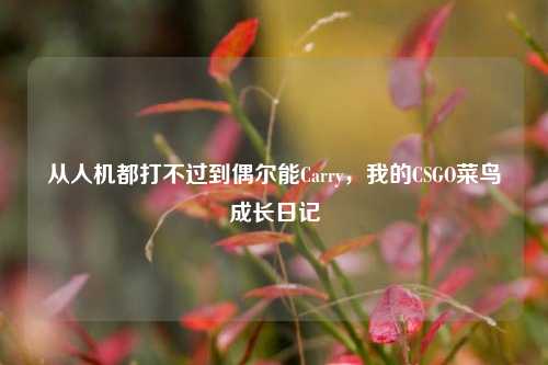 从人机都打不过到偶尔能Carry，我的CSGO菜鸟成长日记