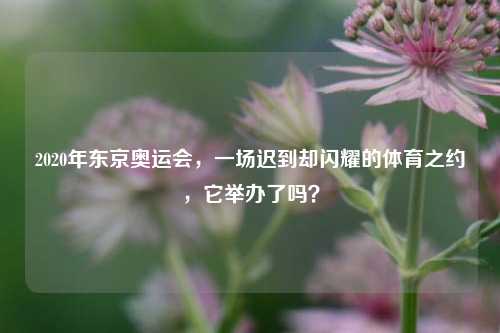 2020年东京奥运会，一场迟到却闪耀的体育之约，它举办了吗？