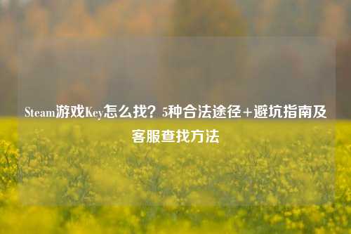 Steam游戏Key怎么找?5种合法途径+避坑指南及客服查找方法