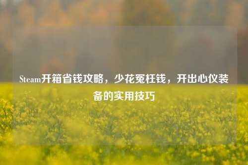 Steam开箱省钱攻略，少花冤枉钱，开出心仪装备的实用技巧