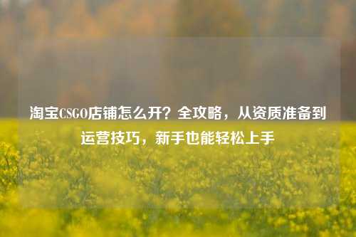 淘宝CSGO店铺怎么开？全攻略，从资质准备到运营技巧，新手也能轻松上手