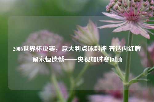 2006世界杯决赛，意大利点球封神 齐达内红牌留永恒遗憾——央视加时赛回顾