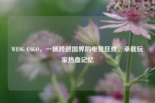 WESG CSGO，一场跨越国界的电竞狂欢，承载玩家热血记忆