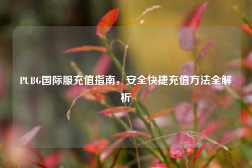 PUBG国际服充值指南，安全快捷充值方法全解析