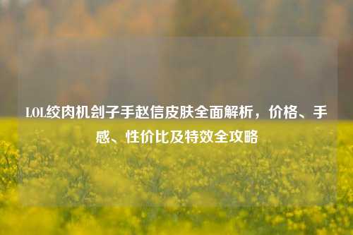 LOL绞肉机刽子手赵信皮肤全面解析，价格、手感、性价比及特效全攻略