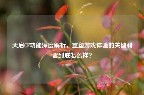 天启CF功能深度解析，重塑游戏体验的关键利器到底怎么样？
