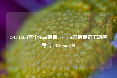 2013 CSGO首个Major冠军，Fnatic开启传奇王朝序章与2013csgotop20