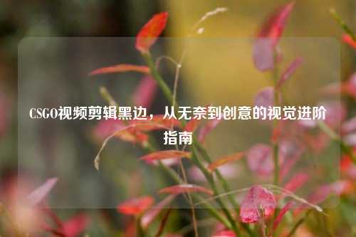CSGO视频剪辑黑边，从无奈到创意的视觉进阶指南