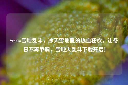 Steam雪地乱斗，冰天雪地里的热血狂欢，让冬日不再单调，雪地大乱斗下载开启！