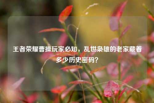 王者荣耀曹操玩家必知，乱世枭雄的老家藏着多少历史密码？