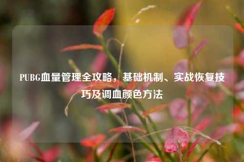 PUBG血量管理全攻略，基础机制、实战恢复技巧及调血颜色方法