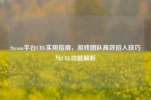 Steam平台URL实用指南，游戏团队高效招人技巧与URL功能解析