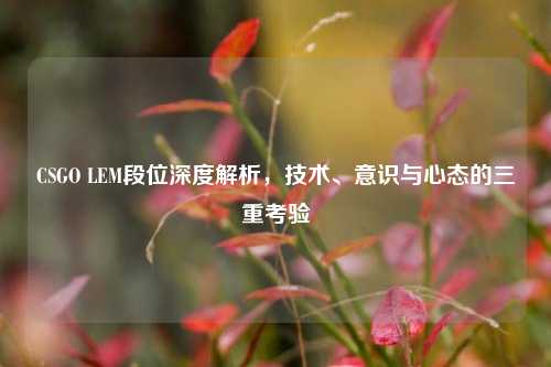 CSGO LEM段位深度解析，技术、意识与心态的三重考验