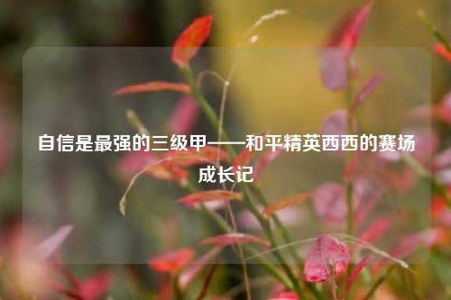 自信是最强的三级甲——和平精英西西的赛场成长记