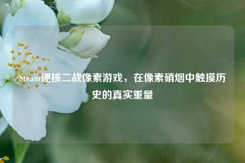 Steam硬核二战像素游戏，在像素硝烟中触摸历史的真实重量