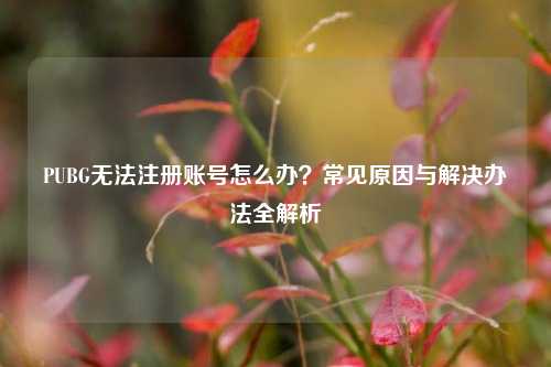 PUBG无法注册账号怎么办？常见原因与解决办法全解析