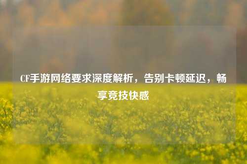 CF手游网络要求深度解析，告别卡顿延迟，畅享竞技快感