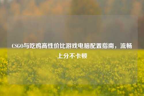 CSGO与吃鸡高性价比游戏电脑配置指南，流畅上分不卡顿