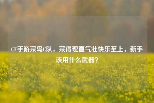 CF手游菜鸟C队，菜得理直气壮快乐至上，新手该用什么武器？