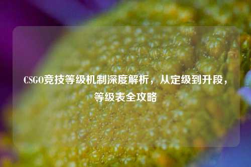 CSGO竞技等级机制深度解析，从定级到升段，等级表全攻略