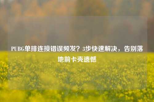 PUBG单排连接错误频发？3步快速解决，告别落地前卡壳遗憾