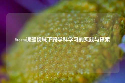 Steam课题视域下跨学科学习的实践与探索