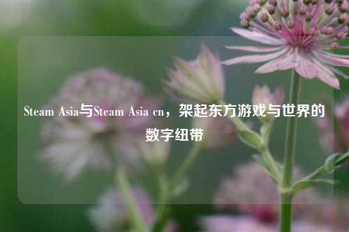 Steam Asia与Steam Asia cn，架起东方游戏与世界的数字纽带