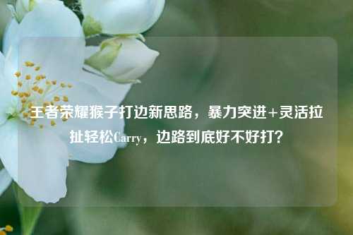王者荣耀猴子打边新思路，暴力突进+灵活拉扯轻松Carry，边路到底好不好打？