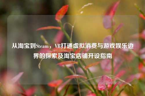 从淘宝到Steam，VR打通虚拟消费与游戏娱乐边界的探索及淘宝店铺开设指南