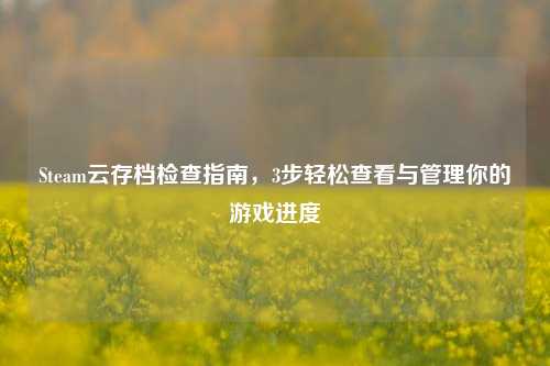 Steam云存档检查指南，3步轻松查看与管理你的游戏进度