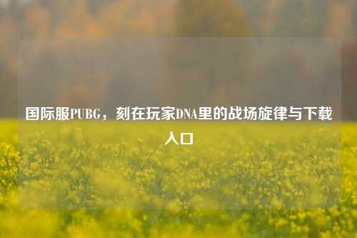 国际服PUBG，刻在玩家DNA里的战场旋律与下载入口