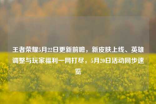 王者荣耀5月22日更新前瞻，新皮肤上线、英雄调整与玩家福利一网打尽，5月20日活动同步速览
