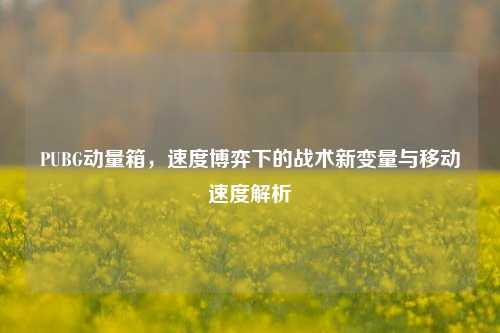 PUBG动量箱，速度博弈下的战术新变量与移动速度解析