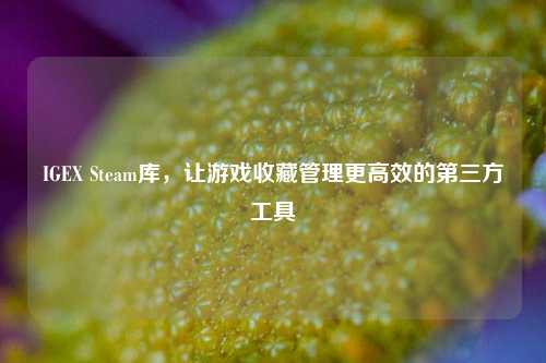 IGEX Steam库，让游戏收藏管理更高效的第三方工具