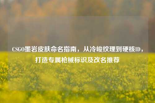 CSGO墨岩皮肤命名指南，从冷峻纹理到硬核ID，打造专属枪械标识及改名推荐