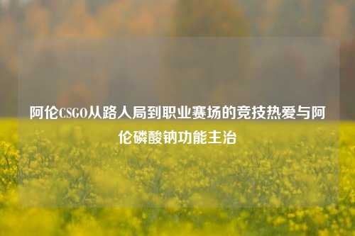 阿伦CSGO从路人局到职业赛场的竞技热爱与阿伦磷酸钠功能主治