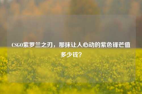 CSGO紫罗兰之刃，那抹让人心动的紫色锋芒值多少钱？