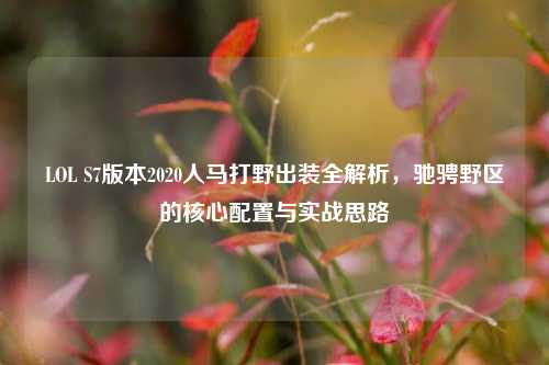 LOL S7版本2020人马打野出装全解析，驰骋野区的核心配置与实战思路
