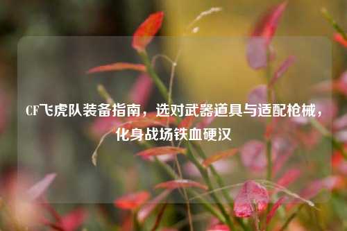 CF飞虎队装备指南，选对武器道具与适配枪械，化身战场铁血硬汉